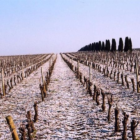 Chateau De La Galissonniere Le Pallet エクステリア 写真
