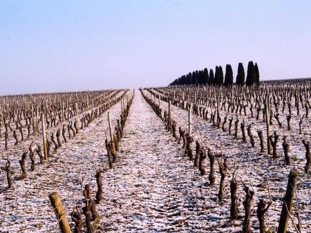 Chateau De La Galissonniere Le Pallet エクステリア 写真